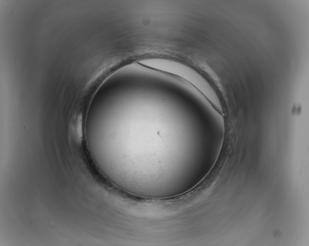 X0000090960020200708161824