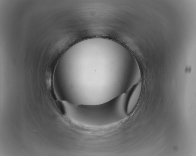 X0000090960021200708161824