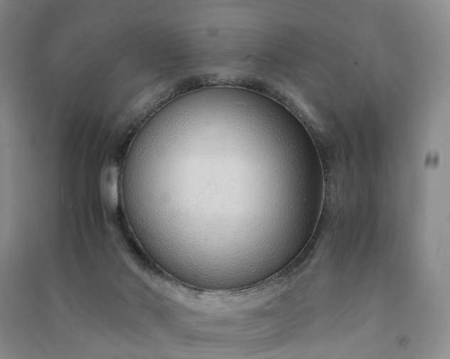 X0000090960022200708161824