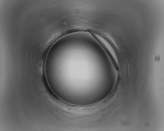 X0000090960023200708161824