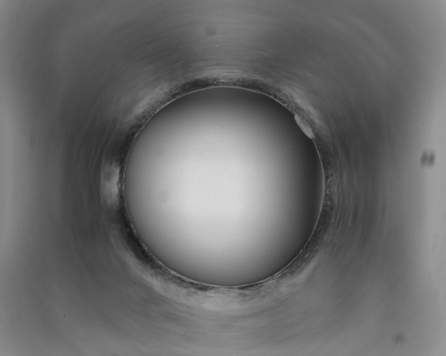 X0000090960024200708161824