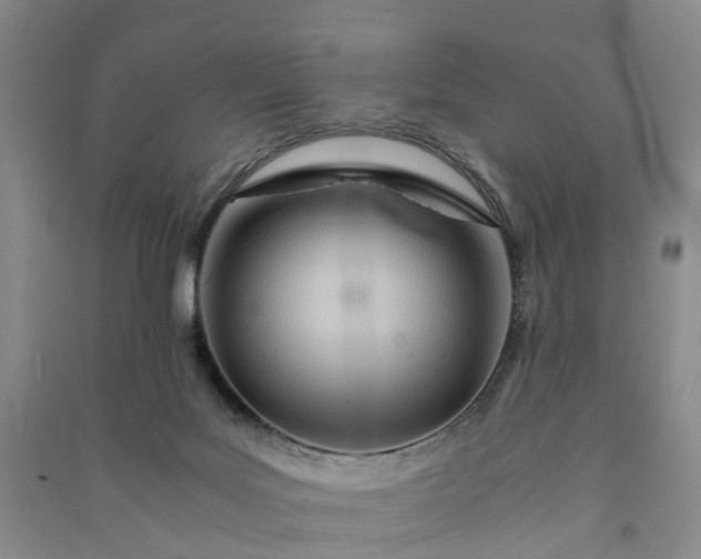 X0000090960027200708161824