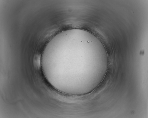 X0000090960028200708161824