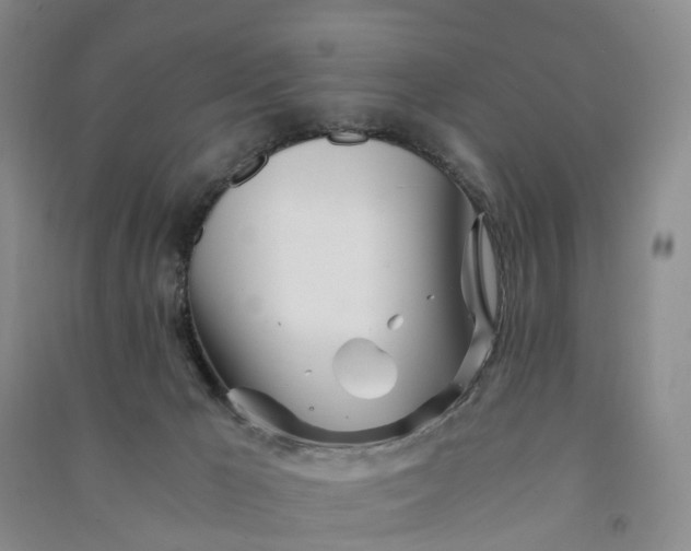 X0000090960029200708161824
