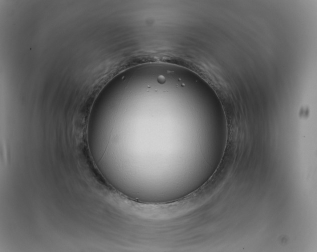 X0000090960030200708161824