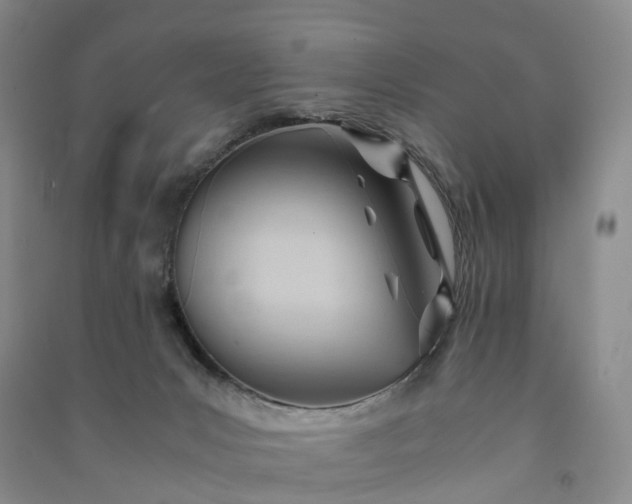 X0000090960031200708161824