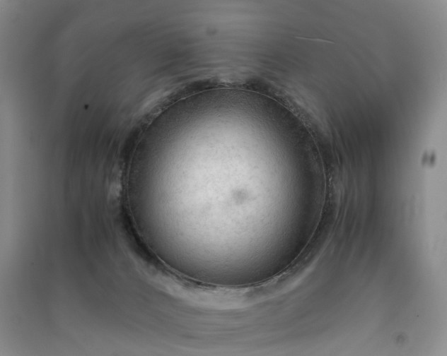 X0000090960032200708161824