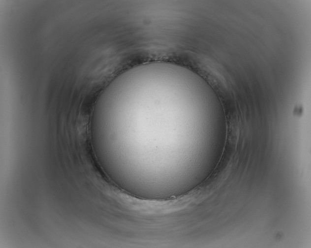 X0000090960034200708161824