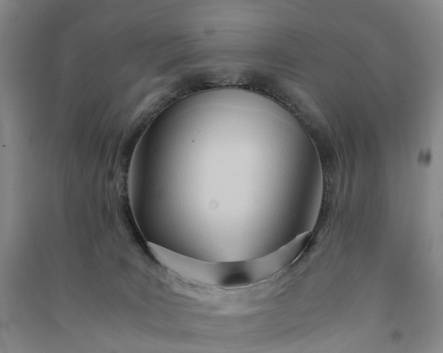 X0000090960035200708161824