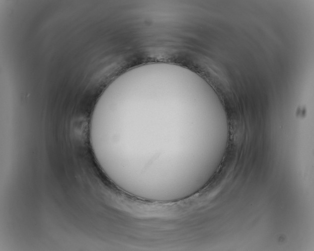 X0000090960036200708161824
