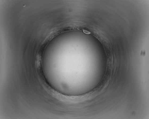 X0000090960038200708161824