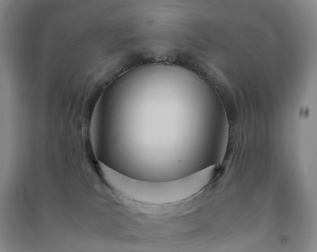 X0000090960039200708161824