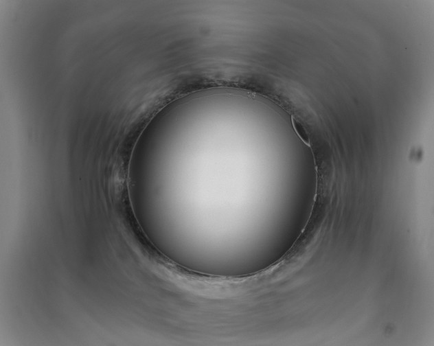 X0000090960040200708161824