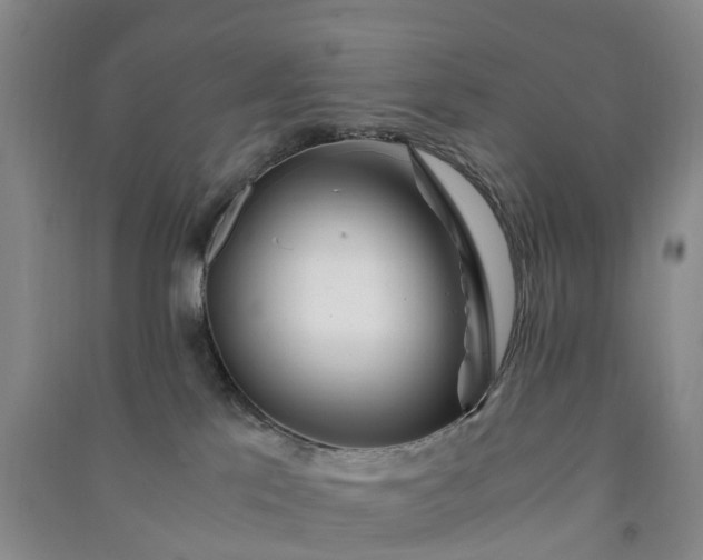 X0000090960041200708161824