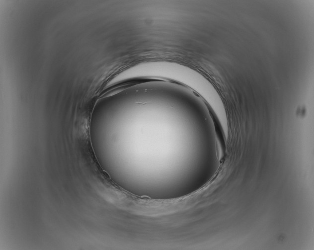X0000090960045200708161824