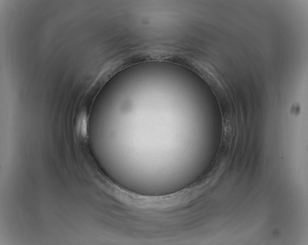 X0000090960046200708161824