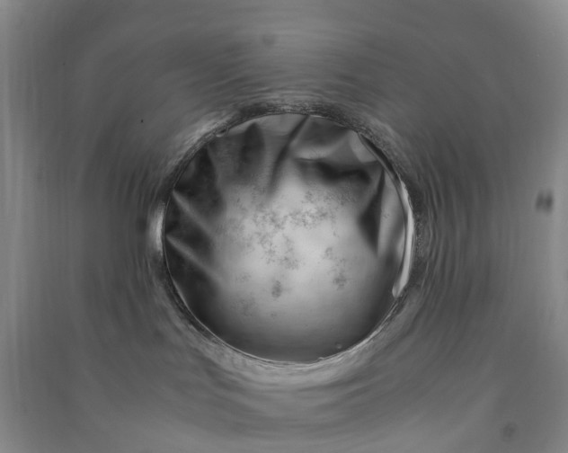 X0000090960047200708161824