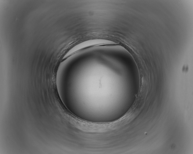 X0000090960048200708161824