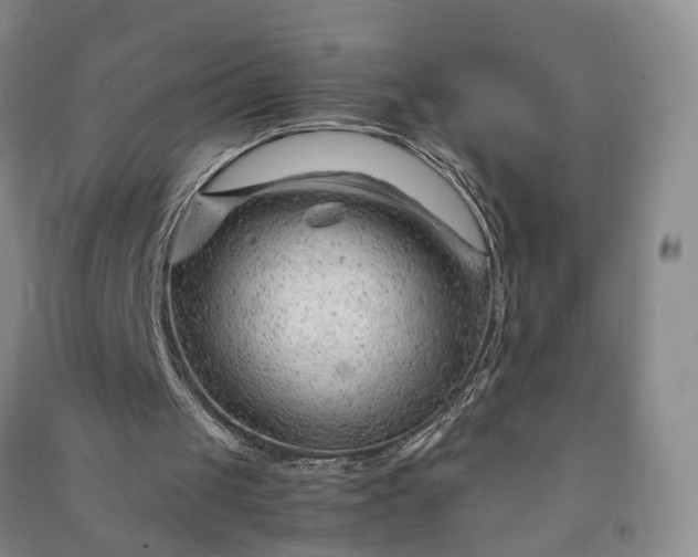X0000090960049200708161823