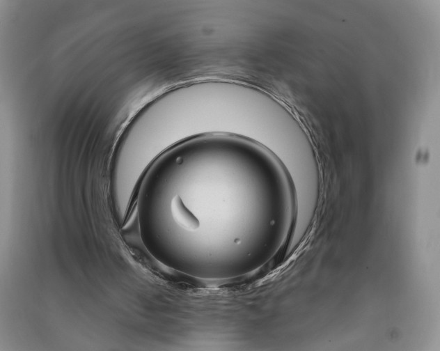 X0000090960050200708161823