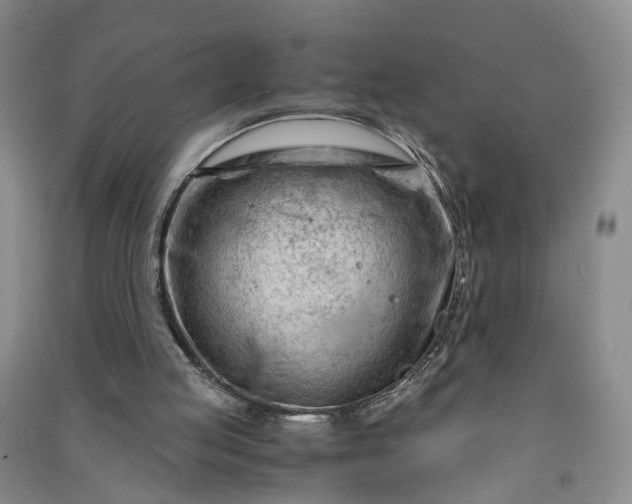 X0000090960053200708161823