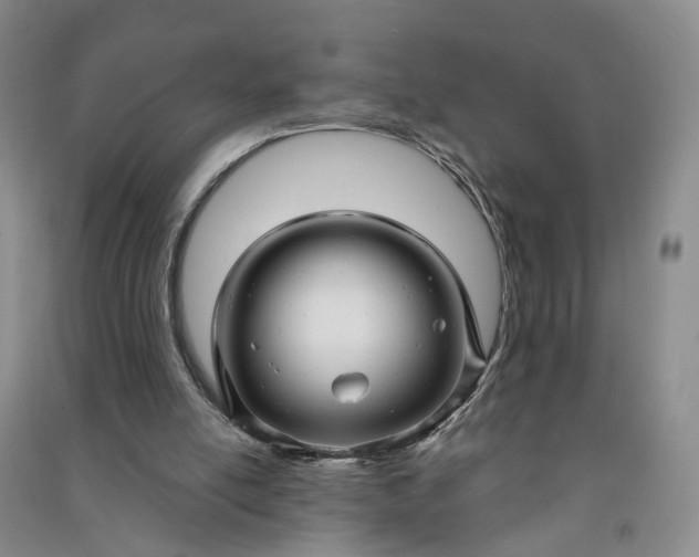 X0000090960054200708161823