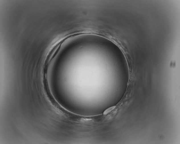 X0000090960055200708161823