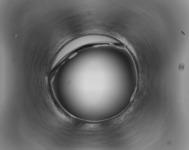 X0000090960057200708161824