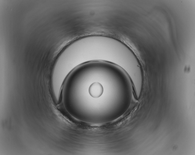 X0000090960058200708161824