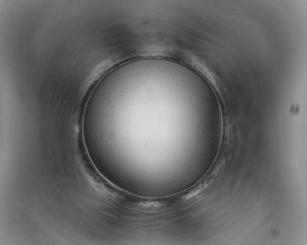 X0000090960059200708161824