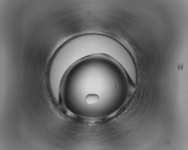 X0000090960060200708161824