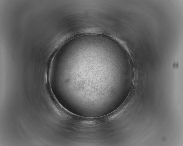 X0000090960061200708161824