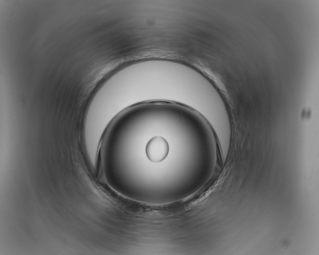 X0000090960062200708161824