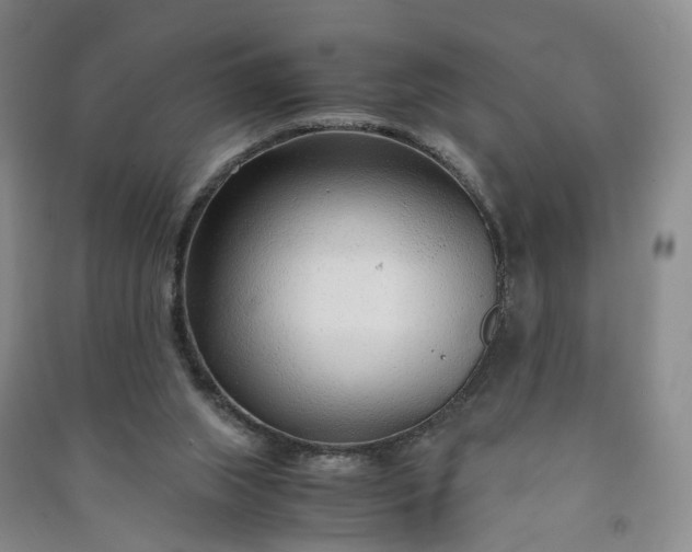 X0000090960063200708161824