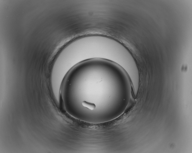 X0000090960064200708161824