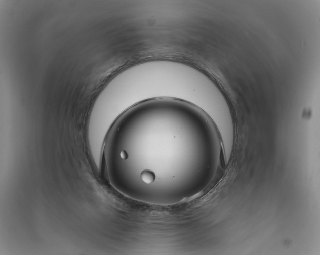 X0000090960066200708161824