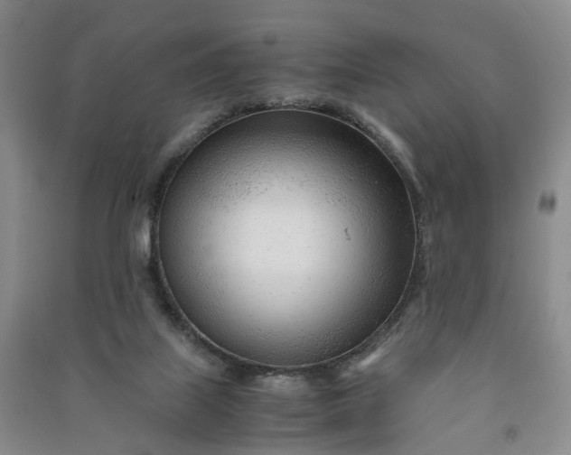 X0000090960067200708161824