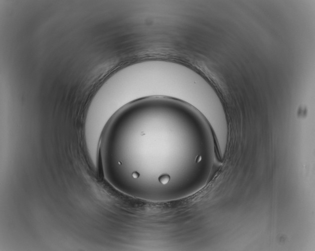 X0000090960070200708161824