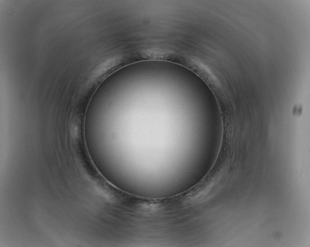 X0000090960071200708161824