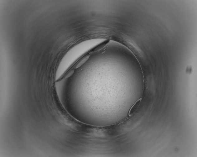 X0000090960073200708161824