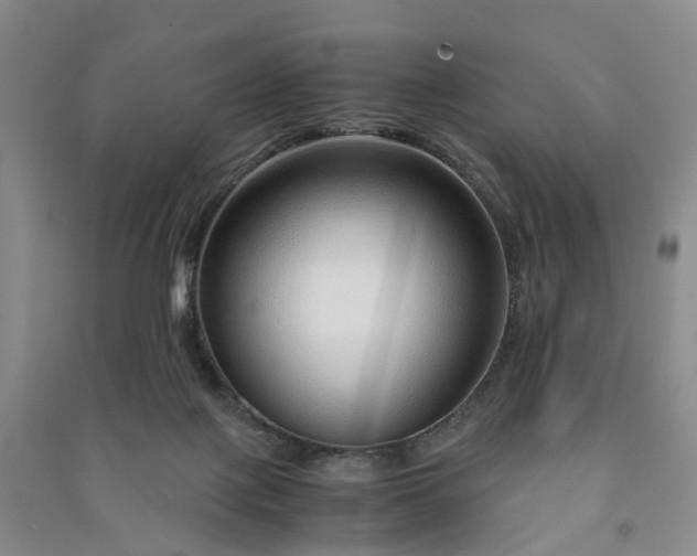 X0000090960075200708161824