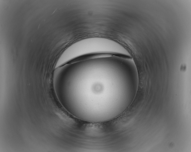 X0000090960077200708161824