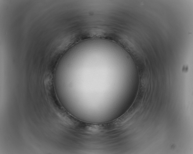 X0000090960079200708161824