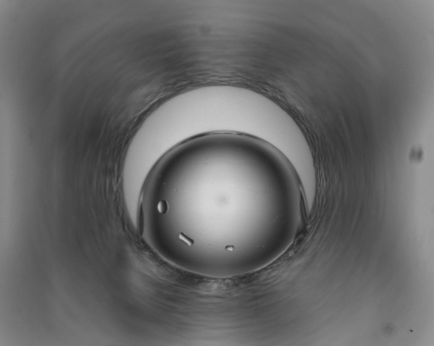 X0000090960080200708161824