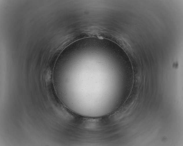 X0000090960081200708161824