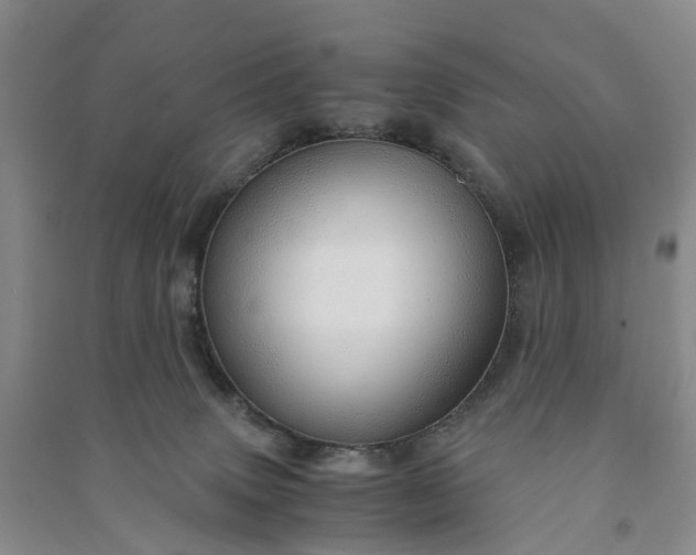 X0000090960083200708161824