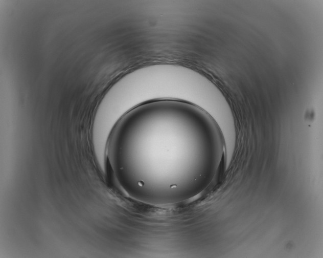 X0000090960084200708161824