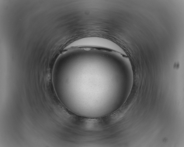 X0000090960085200708161824