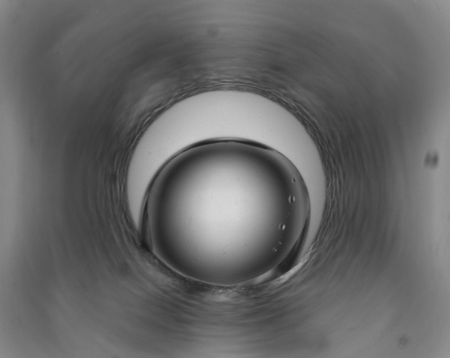 X0000090960086200708161824