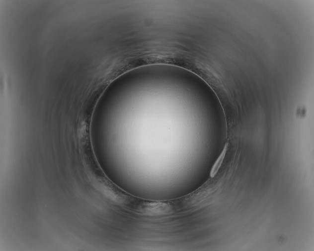 X0000090960087200708161824